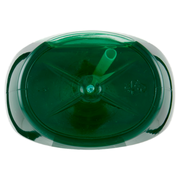 Scala Piatti Concentrato Igienizzante Zenzero e Limone 500 ml