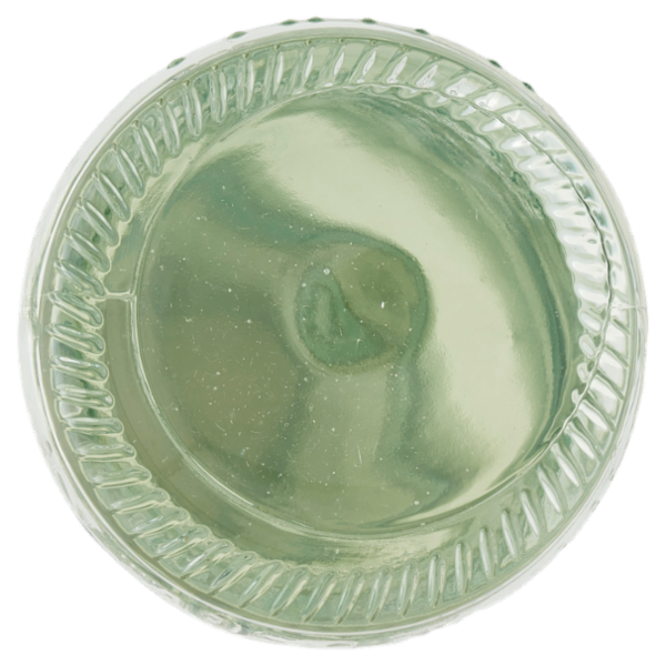 Galvanina Tonica Biologica 355 ml