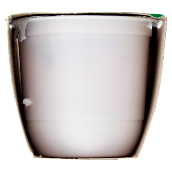 Centrale del Latte di Roma Zero Grassi Fragola Yogurt magro con frutta in pezzi 2 x 125 g