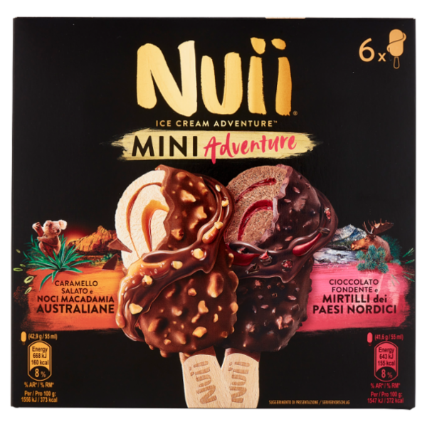 NUII Mini Adventure Caramello Salato e Noci Macadamia e Cioccolato Fondente e Mirtilli 6 Gelati 253g