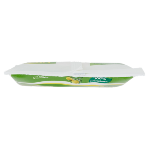 Citrosil Home Protection Fuori Casa - Salviette Igienizzanti, 12 panni