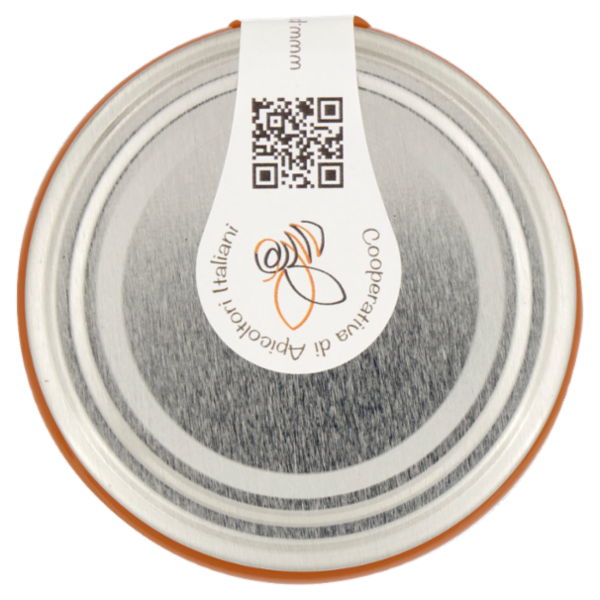 Piemonte Miele Miele Italiano il Delicato di primavera 500 g