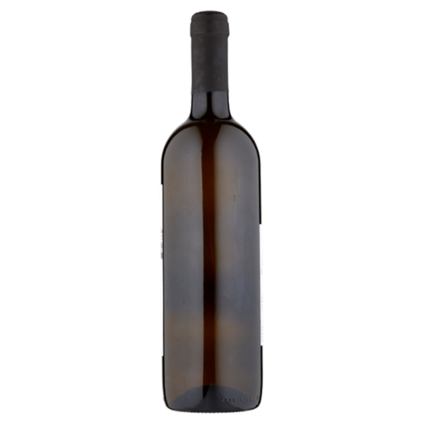 Terre del Mai Ortrugo dei Colli Piacentini D.O.C. Frizzante 75 cl