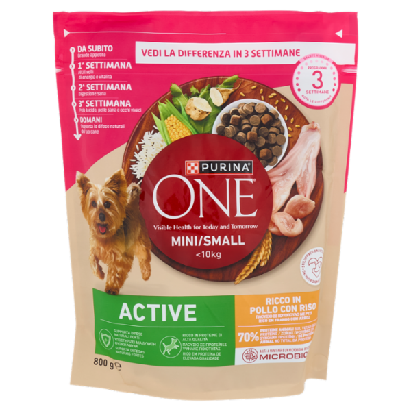 PURINA ONE Mini/Small Active Pollo e Riso 800g