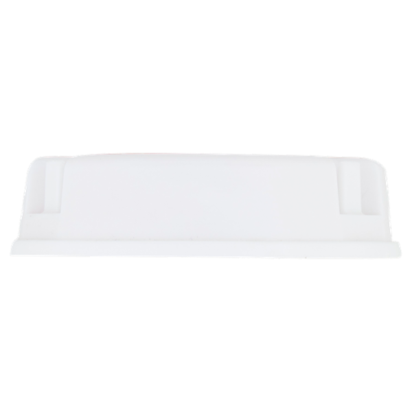 Zig Zag Insetticida Esca Professionale Formiche 10 g