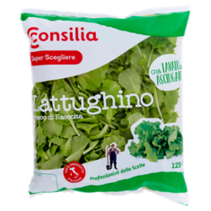 Consilia Saper Scegliere Lattughino 125 g