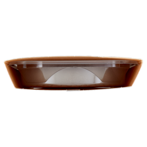 Food Evolution PareManzo Burger 2 x 100 g