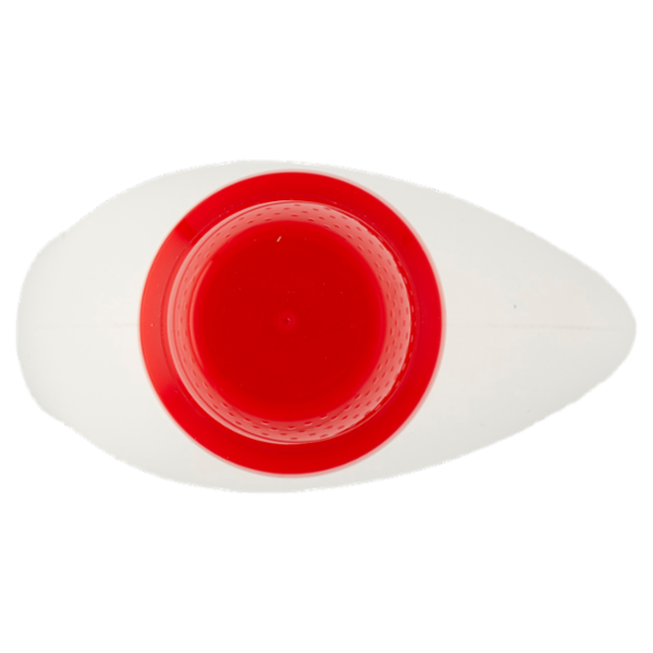 DIXAN Liquido Anti-Odore 22 Lavaggi 990 ml