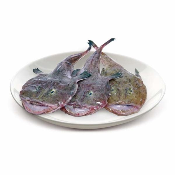 Pescatrice 1000/2000
