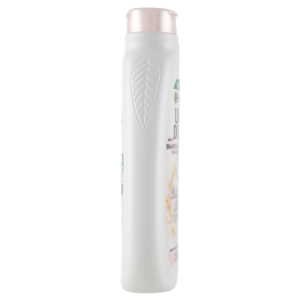 Garnier Ultra Dolce Shampoo Delicatezza D'Avena capelli delicati Crema di riso e latte d'avena 300ml