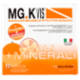 MG.K Vis Magnesio-Potassio Sali + Minerali 12 x 4 g
