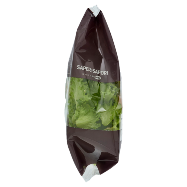 Selex Saper di Sapori Lattuga Riccia Lavata e Pronta per il Consumo 100 g