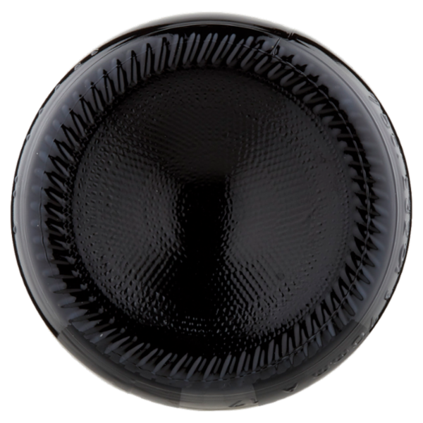 Cantina Valtidone viti&vini Gutturnio D.O.C. Vino Frizzante 0,75 l