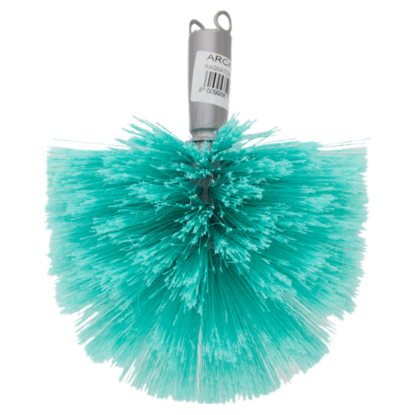 arcasa Ragnatore a Palla