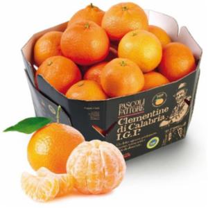 Pascoli Del Fattore Clementine Di Calabria Igp 1,5 kg