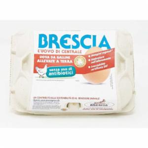 Centrale Del Latte Di Brescia 6 Uova Senza Antibiotici da Galline Allevate a Terra