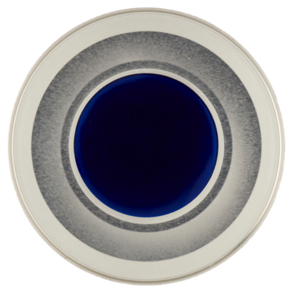 APTAMIL PROFUTURA2, Latte di Proseguimento in Polvere dal 6° mese compiuto, con Vitamine C&D, 800g