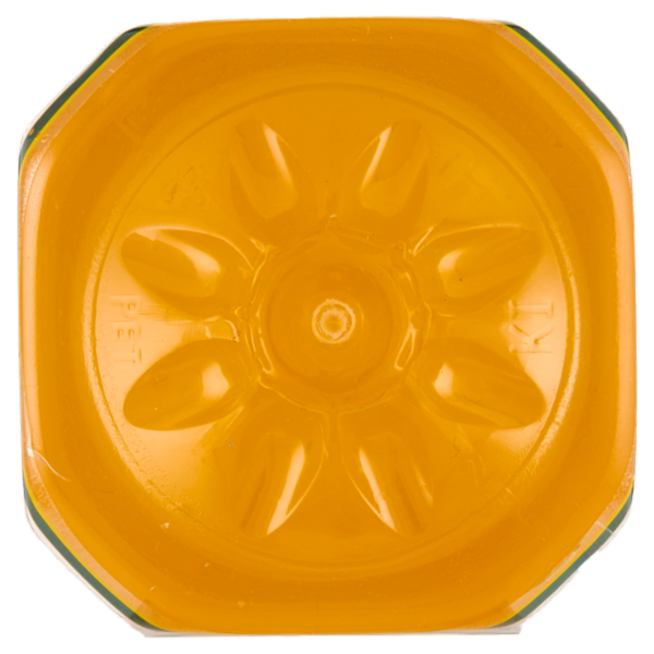 Tropical Aloe Mango 500 ml