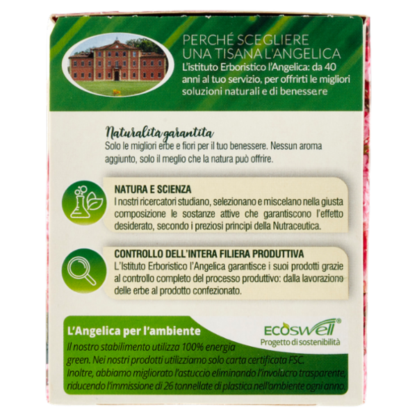 L'Angelica Le Tisane Valeriana Active 18 Filtri 32,4 g