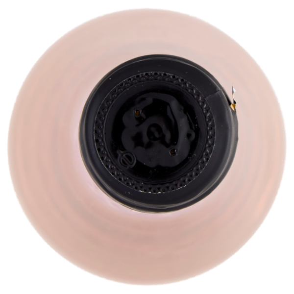 Vino Frizzante Rosato 750 ml