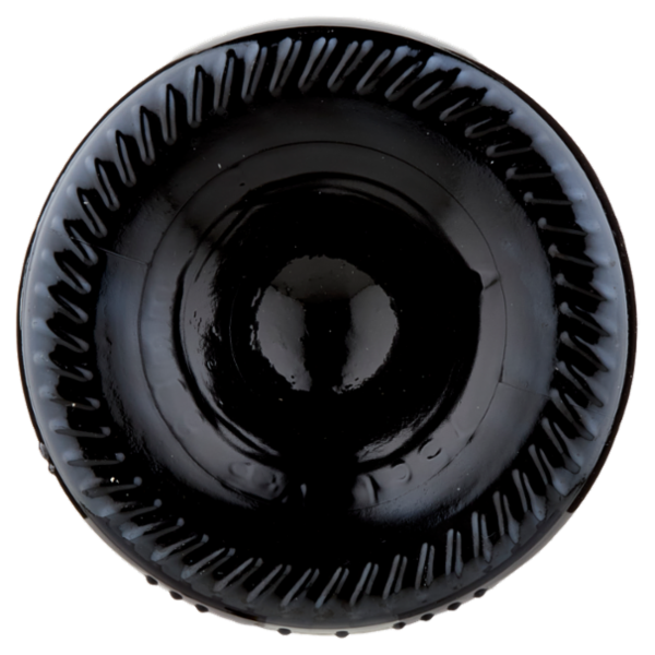 federici Piazza del Cielo Cesanese del Piglio DOCG 75 cl