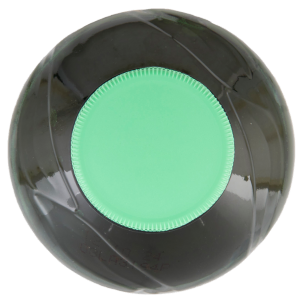 San Benedetto Thè Verde & Cactus 0,5 L