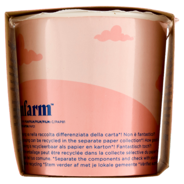 Dreamfarm Alternativa vegetale alla mozzarella 125 g