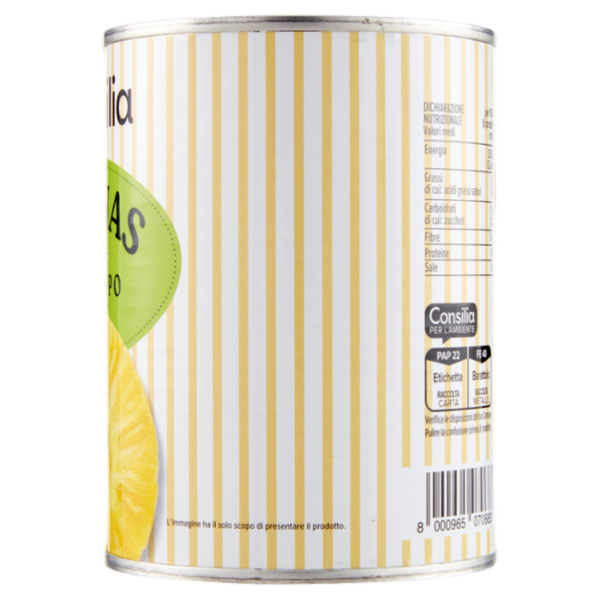 Consilia Ananas allo Sciroppo 565 g