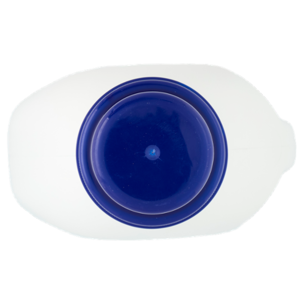 Consilia Detersivo per Lavatrice Liquido Classico 30 Lavaggi 1,5 L