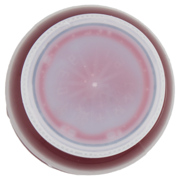 F.lli Orsero Frutta da Bere 100% Melagrana 250 ml