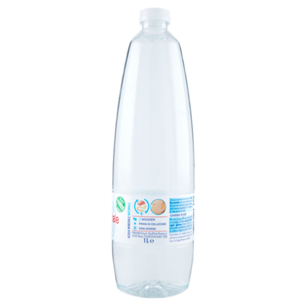 Fonte essenziale Acqua Minerale Naturale 1 L