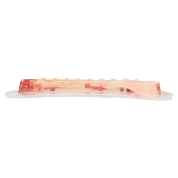 BlueShark le ricette di Monia & Lorena Salmone Marinato Sott'Olio 200 g