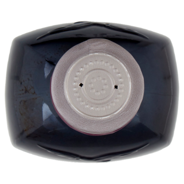 De Nigris Aceto Balsamico di Modena I.G.P. Gusto Corposo 250 ml