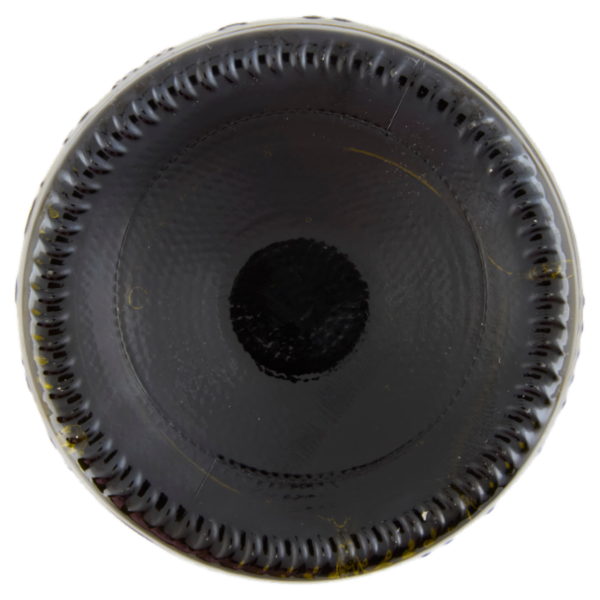 Terre Cevico Pignoletto Frizzante Emilia-Romagna DOC 750 ml