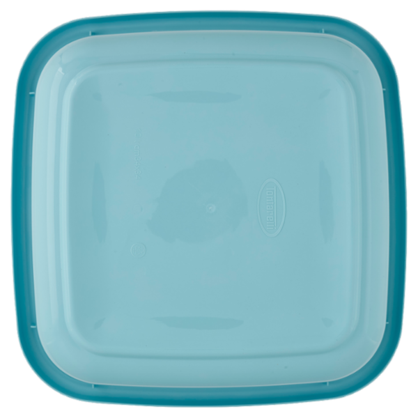 Selex Bacinella Quadrata Azzurro 9 L