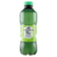 San Benedetto Thè Verde & Cactus 0,5 L