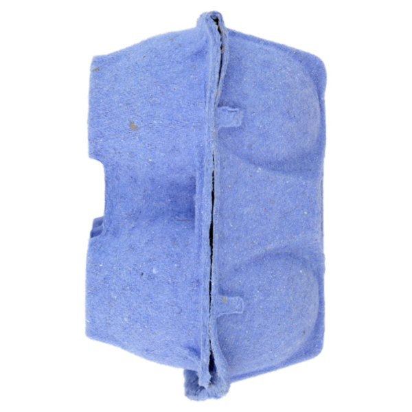 IL GIGANTE 6 Uova da allevamento a terra Uova Grandi