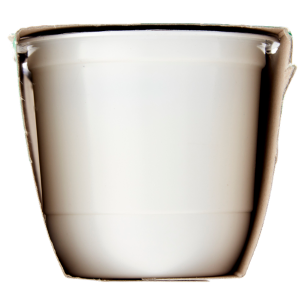 Centrale del Latte di Roma Zero Grassi Yogurt Magro Bianco con zucchero 2 x 125 g