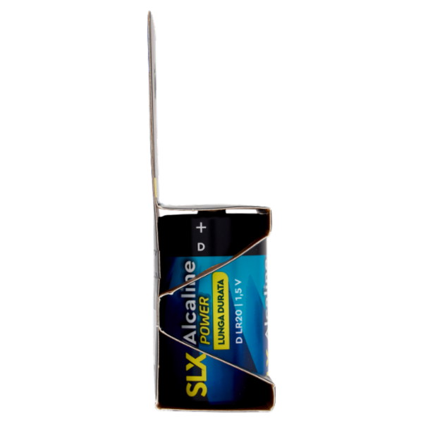 Selex Pile Alcaline Torcia D 1,5 V 2 pezzi