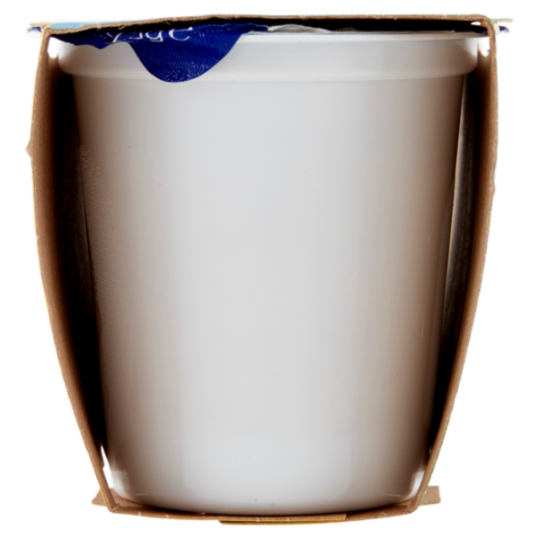 Centrale del latte Vicenza Yogurt Intero Cereali 2 x 125 g