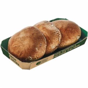 Funghi Portobello Gr300