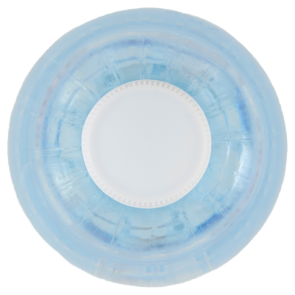 Valmora Sorgente Alpina Frizzante 1 L