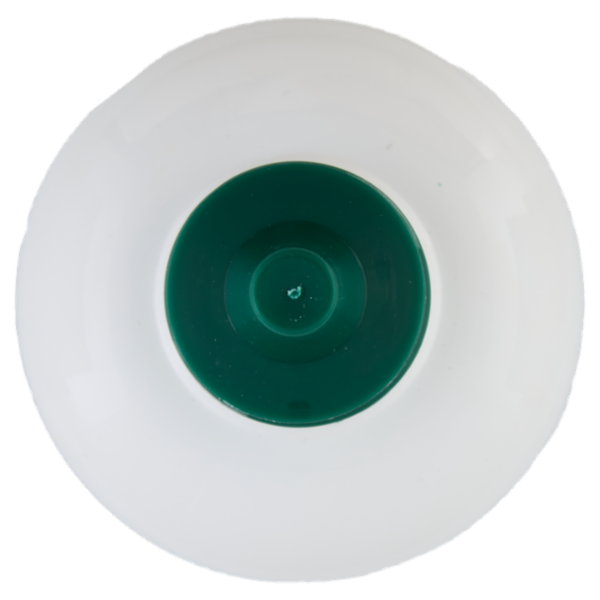 Fochista Verdefuoco Bio-Accendifuoco per Barbecue 750 ml