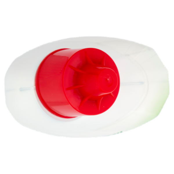 WC Net Candeggina gel Mountain Fresh 700 ml