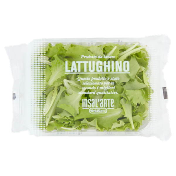 Insal'Arte Lattughino 100 g