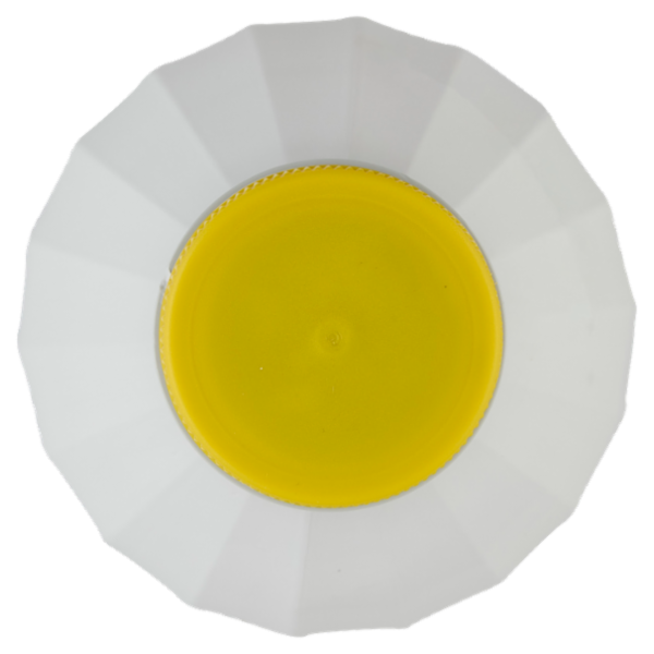 Granarolo Latte Più Giorni Intero 1 L