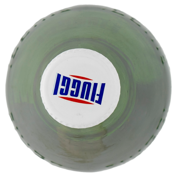 Fiuggi Acqua minerale naturale Oligominerale 100 cL