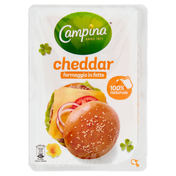 Campina cheddar formaggio in fette 100 g