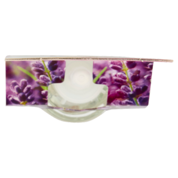 Air Wick Profumatore per Ambienti Lavanda in Fiore Ricarica 19 ml