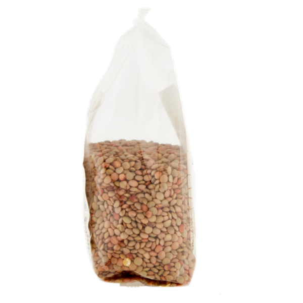 Consilia Legumi Secchi Lenticchie Verdi Biologiche 300 g